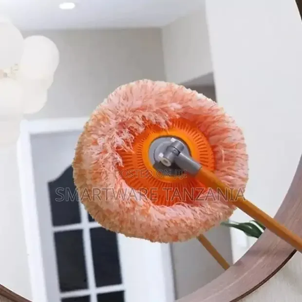 Cleaning Moper
