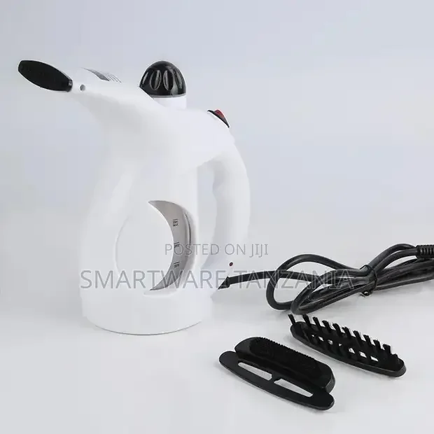Iron Fur and Cloth Steamer