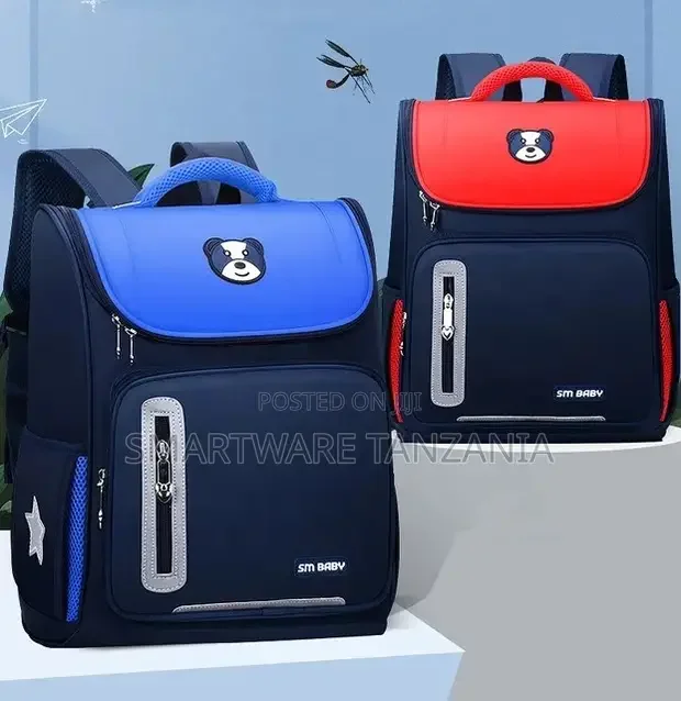 Kids Schooling Bag